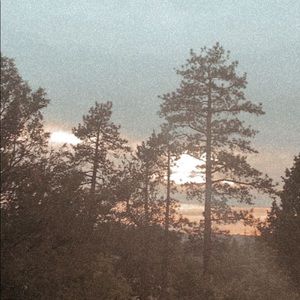 Meet your Posher, Summer